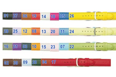 artisto-classic-kolory