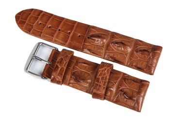 Pasek ze skóry Krokodyla - 4